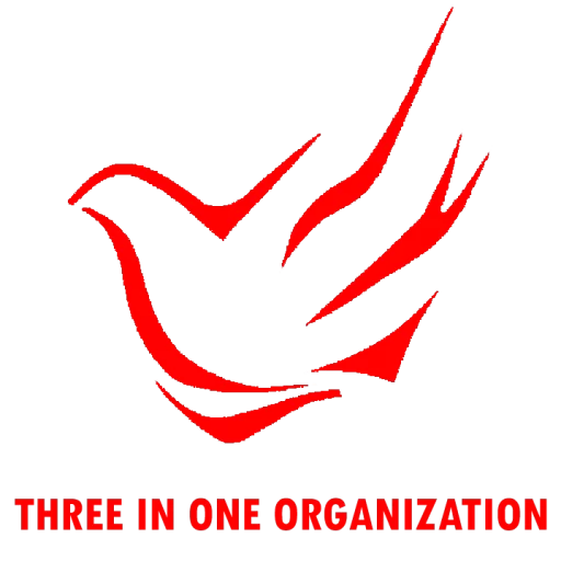 Three in One Organization