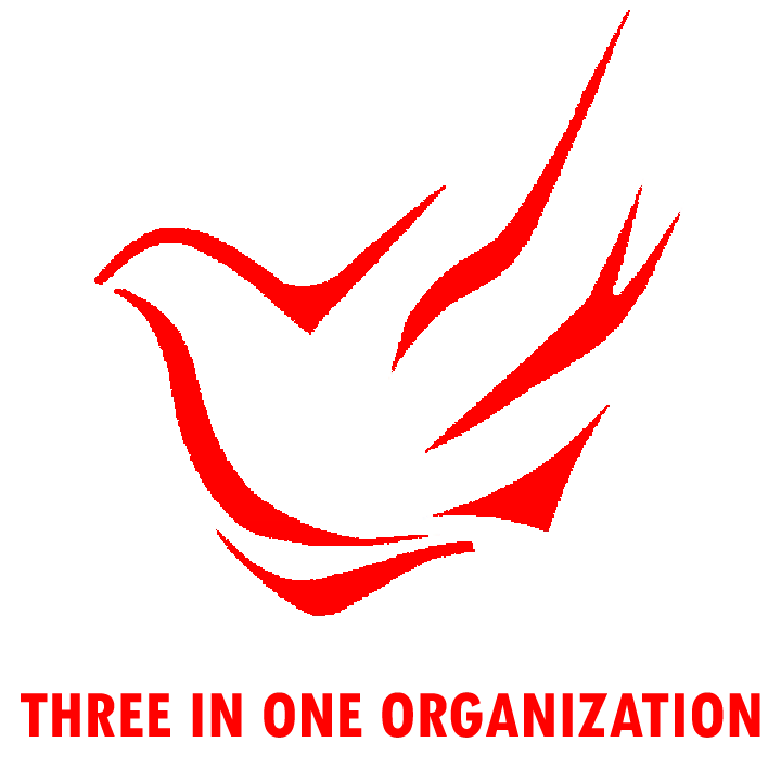 Three in One Organization